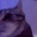 Emoji INSANECAT