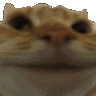 Emoji catNope