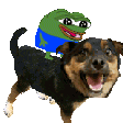 Emoji Pepe_Ride_Dog