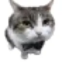 Emoji whar