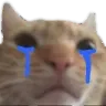 Emoji chatpleure_luxyfr