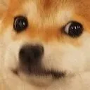Emoji DogeCringe