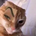 Emoji Gato_ceja_edited_2