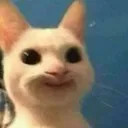 Emoji sexycat