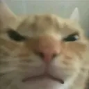 Emoji 4512gusicangry