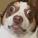Emoji mrbubz