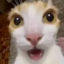 Emoji a_