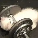 Emoji stronk