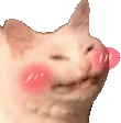 Emoji flushed_cat