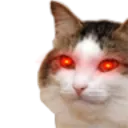 Emoji cat