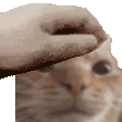 Emoji M_4bontoutou