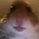 Emoji ham