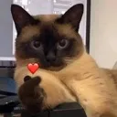 Emoji Or_heart