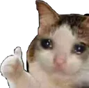 Emoji 433995675337425D861942A6ECD522A8
