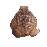 Emoji frog