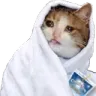 Emoji Chatpeignoire_LS