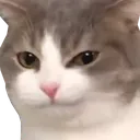 Emoji LeoAigri