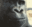Emoji 6740monkewhat