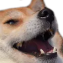 Emoji luldog
