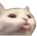 Emoji catBlep