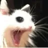 Emoji 3473cescreammmmm6