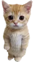 Emoji monstre