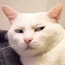 Emoji sussy
