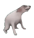 Emoji danseur