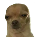 Emoji adakor