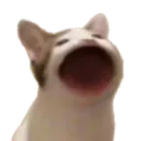 Emoji ooahhhh