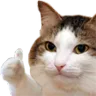 Emoji Good