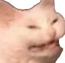 Emoji catyikes