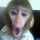 Emoji chokbar_sinj