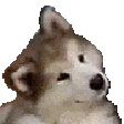 Emoji WOUF