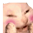 Emoji CATOMG