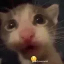 Emoji oh