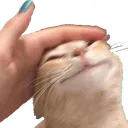 Emoji PtiteCaresse