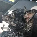 Emoji tired