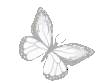 Emoji PapillonBlanc