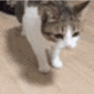 Emoji catfalling
