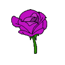 Emoji rose_rose_brise