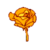 Emoji rose_gold_brise