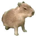 Emoji z_Capybara