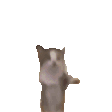 Emoji z_CatJump