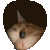 Emoji z_Cats