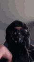 Emoji dingling52