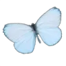 Emoji yyy_butterfly