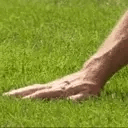 Emoji z_TouchGrass
