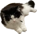 Emoji LeSaintChat