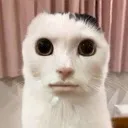 Emoji emoji_56
